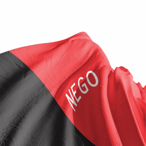 Bandeira Paraíba - Imagem 3