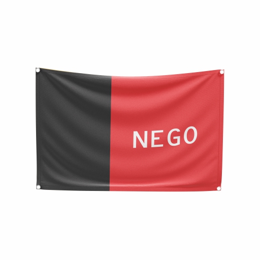 Bandeira Paraíba - Imagem 2