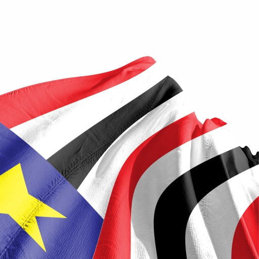 Bandeira Maranhão - Imagem 3