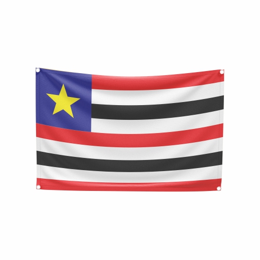 Bandeira Maranhão - Imagem 2