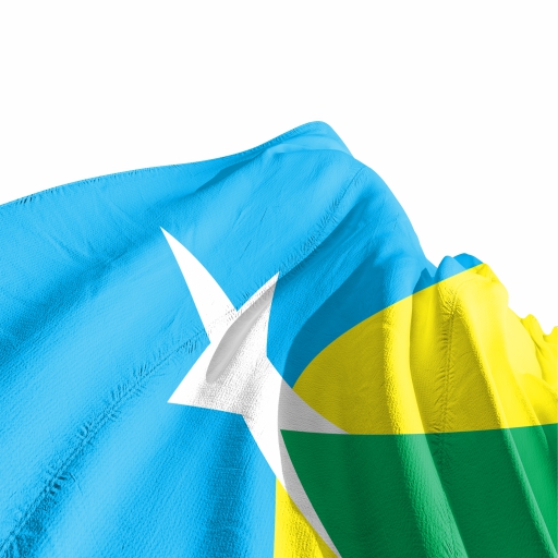 Bandeira Rondônia - Imagem 3