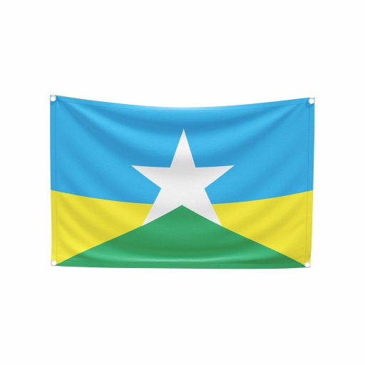 Bandeira Rondônia - Imagem 2