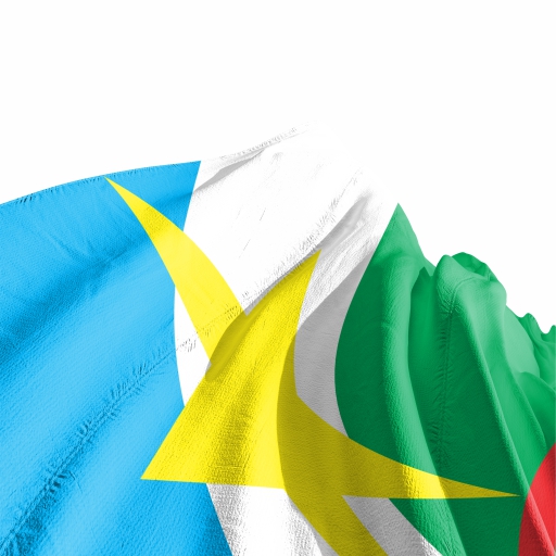 Bandeira Roraima - Imagem 3