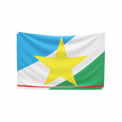 Bandeira Roraima - Imagem 2