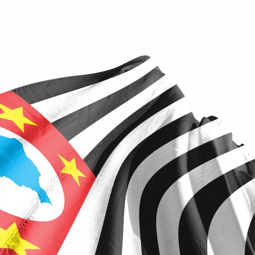 Bandeira São Paulo - Imagem 3