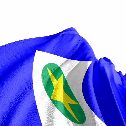 Bandeira Mato Grosso - Imagem 3