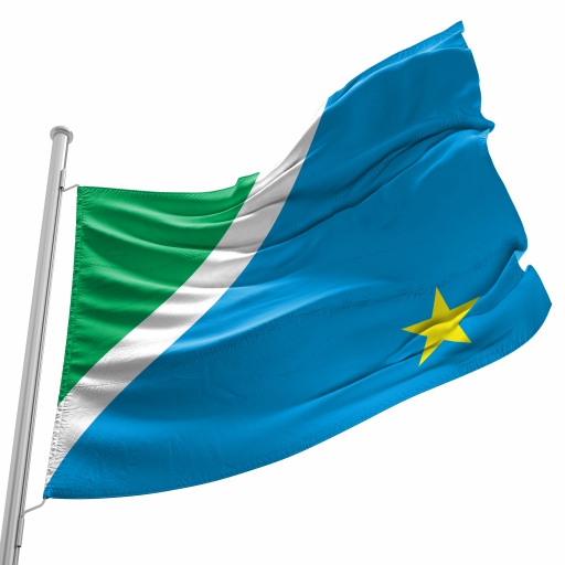 Bandeira Mato Grosso do Sul