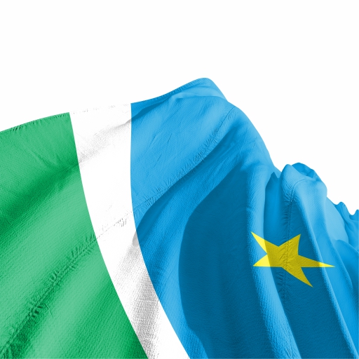 Bandeira Mato Grosso do Sul - Imagem 3