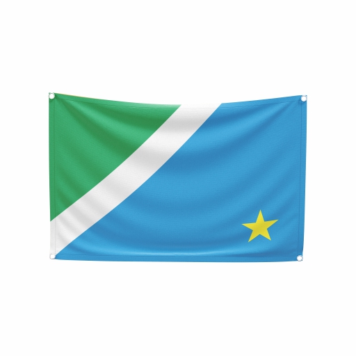 Bandeira Mato Grosso do Sul - Imagem 2