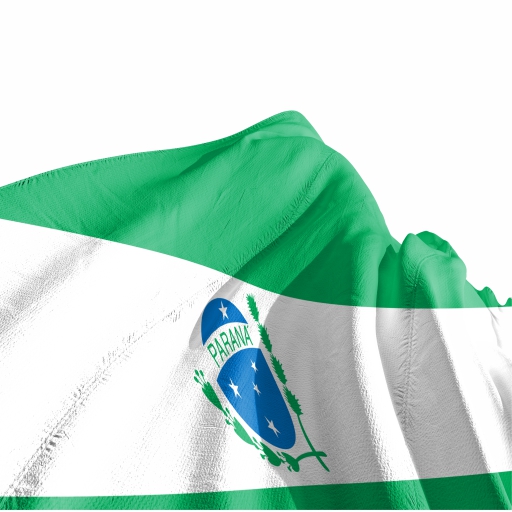 Bandeira Paraná - Imagem 3