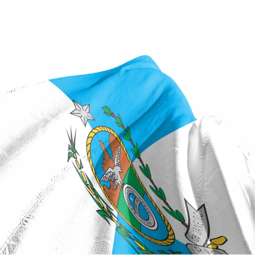 Bandeira Rio de Janeiro - Imagem 3