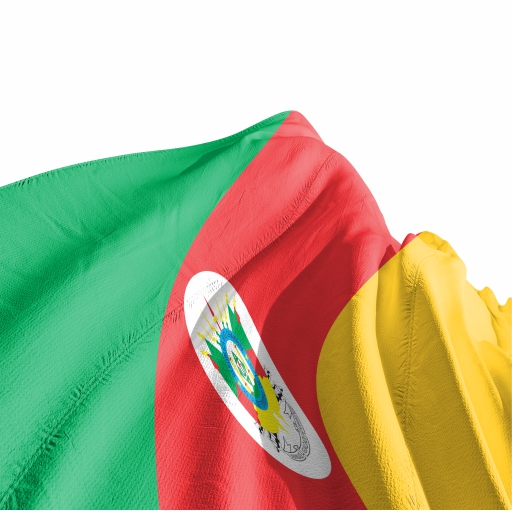 Bandeira Rio Grande do Sul - Imagem 3