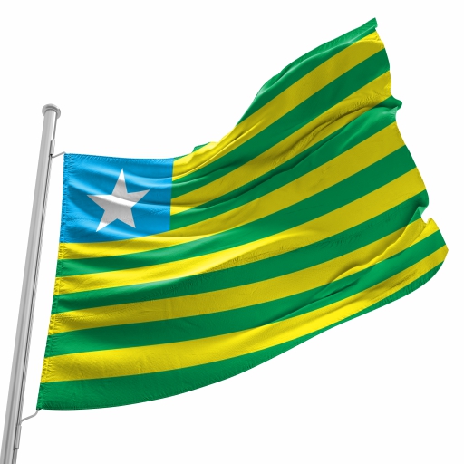 Bandeira Piauí