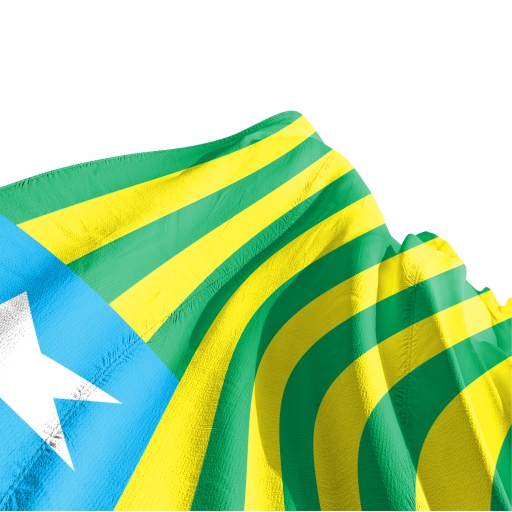 Bandeira Piauí - Imagem 3