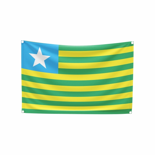 Bandeira Piauí - Imagem 2