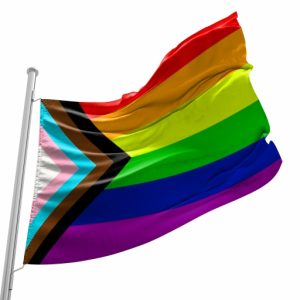Bandeira Progressista do Orgulho LGBTQIA+