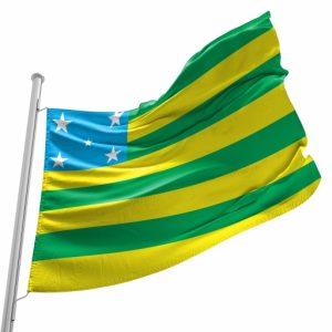 Bandeira Goiás