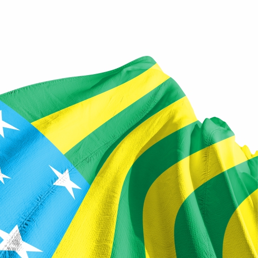 Bandeira Goiás - Imagem 3