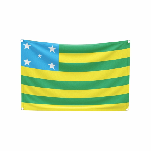 Bandeira Goiás - Imagem 2