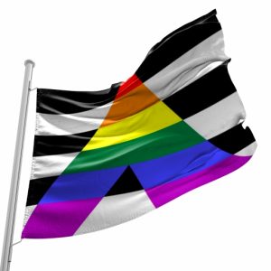 Bandeira do Orgulho Aliado LGBTQIA+