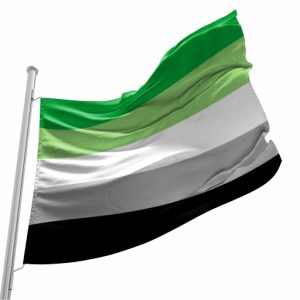 Bandeira do Orgulho Arromântico