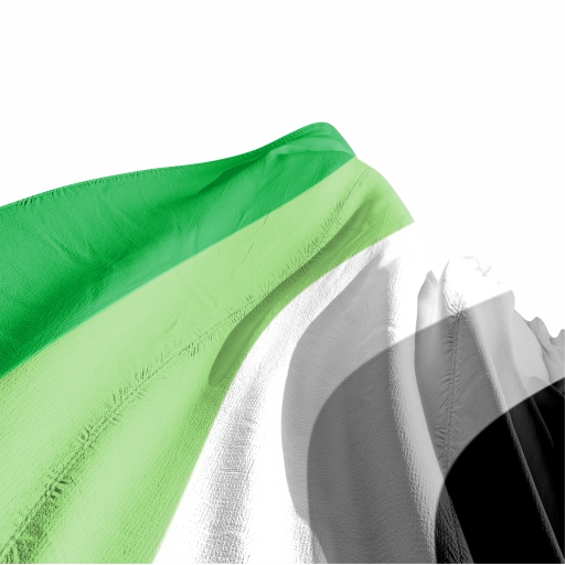 Bandeira do Orgulho Arromântico - Imagem 3