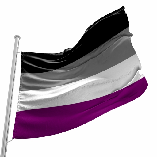 Bandeira do Orgulho Assexual