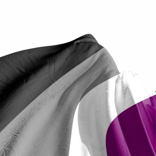 Bandeira do Orgulho Assexual - Imagem 3