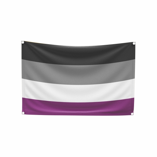 Bandeira do Orgulho Assexual - Imagem 2