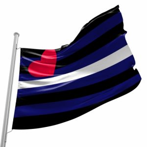 Bandeira do Orgulho BDSM, Couro & Látex