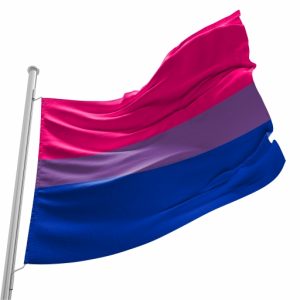 Bandeira do Orgulho Bissexual