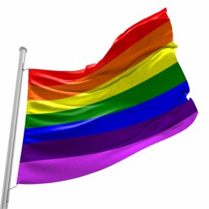 Bandeira do Orgulho Gay de 1978-1999