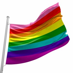 Bandeira do Orgulho Gay de Baker