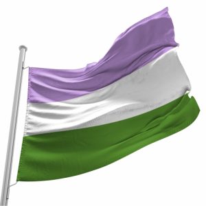 Bandeira do Orgulho Genderqueer
