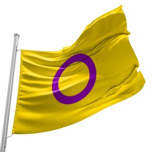 Bandeira do Orgulho Intersex