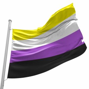 Bandeira do Orgulho Não-Binário