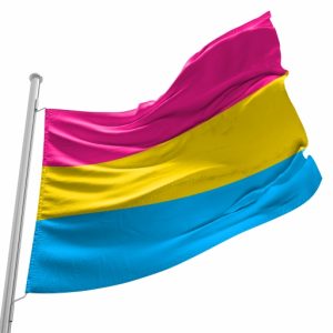Bandeira do Orgulho Pansexual