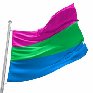 Bandeira do Orgulho Polissexual