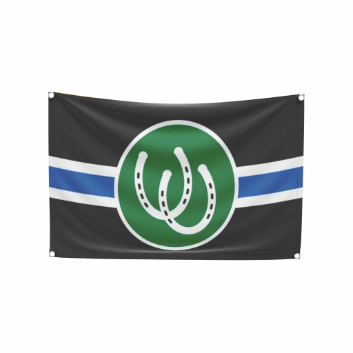 Bandeira do Orgulho Pony Play - Imagem 2