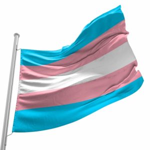 Bandeira do Orgulho Trans