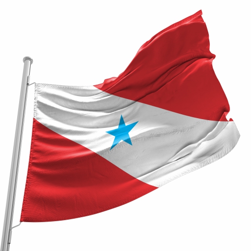 Bandeira Pará