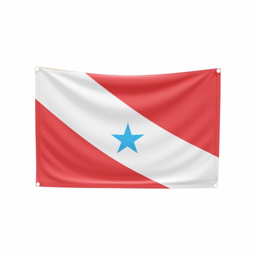 Bandeira Pará - Imagem 2