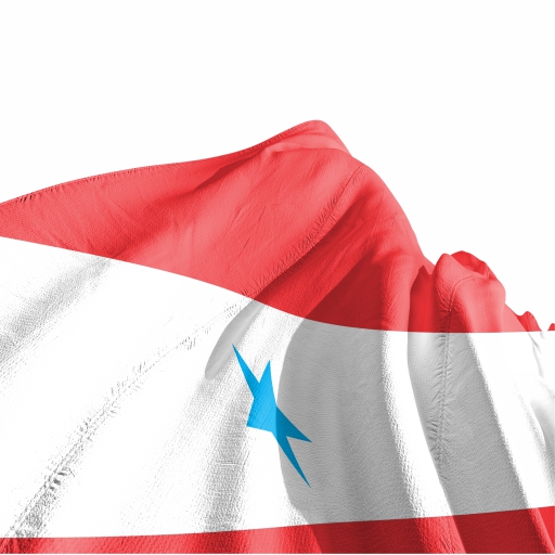 Bandeira Pará - Imagem 3