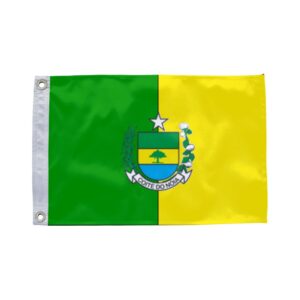 Bandeira de Coité do Nóia AL