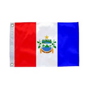 Bandeira de Dois Riachos AL