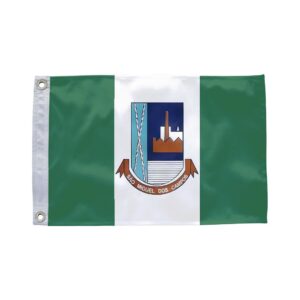 Bandeira de São Miguel dos Campos AL