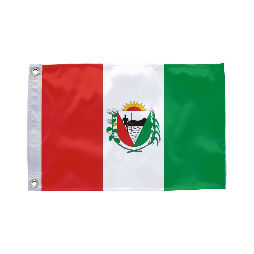 Bandeira de União dos Palmares AL