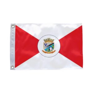 Bandeira de Abadia de Goiás GO