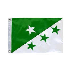 Bandeira de Amargosa BA