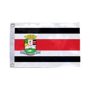 Bandeira de Anajatuba MA